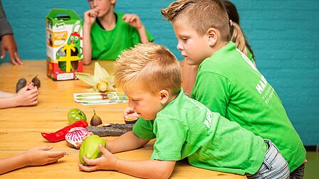 Kinderen van bso Happy Kids (Scherpenzeel) bekijken de groenten
