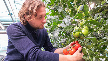 Ruud Barth van Saia Agrobotics in een tuinbouwkas. Het bedrijf won de Innovatieprijs met een disruptieve oplossing voor de glastuinbouw.