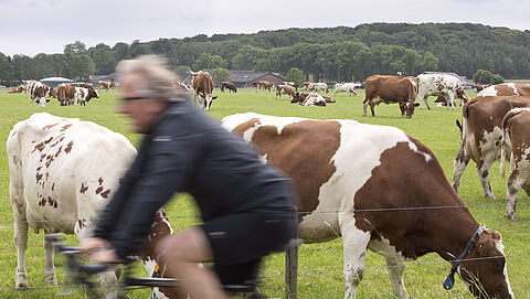 Regio Foodvalley vraagt minister Schouten om samenwerking met boeren rondom eiwitmaatregel