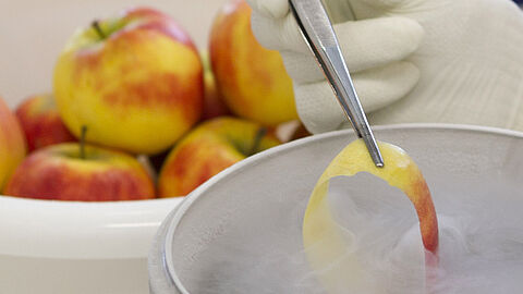 Man met veligheidsbril stopt een appelschil in een bak, er volgt een reactie, stoom komt uit de bak. 