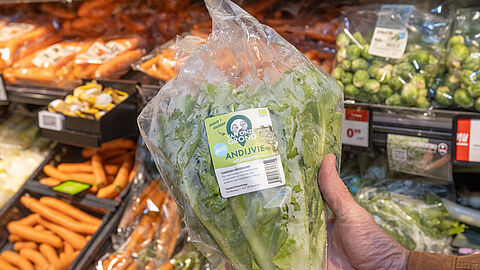 Andijvie is een van de producten van Van Onze Grond in de supermarktenten