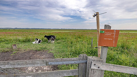 Meetapparatuur om luchtkwaliteit te meten staat in de het veld. 