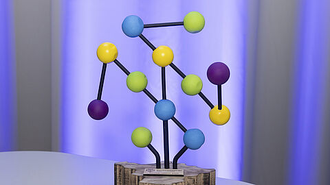 De prijs die de winnaar van de Innovatieprijs in ontvangst neemt. 
