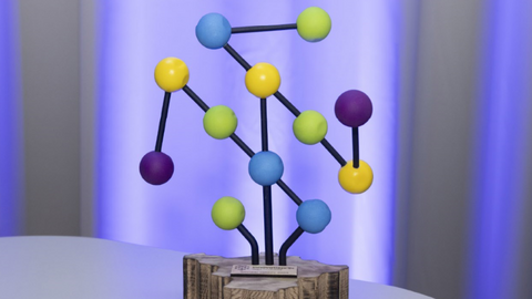 De award Innovatieprijs.